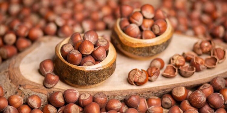 Fındıkta bu sezon ihracatta gelir hedefi 2,5 milyar dolar