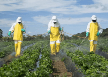 Gıdada Yaşanan 'Pestisit' Sorunu Bir Kez Daha Meclis Gündeminde