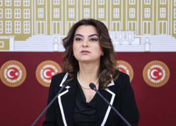 Gülistan Koçyiğit: Erdoğan görüşmesinde sürecin tıkanan yönleri ele alındı