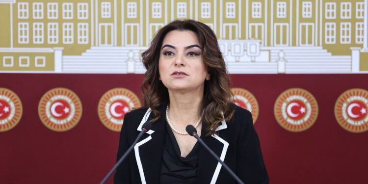 Gülistan Koçyiğit: Erdoğan görüşmesinde sürecin tıkanan yönleri ele alındı