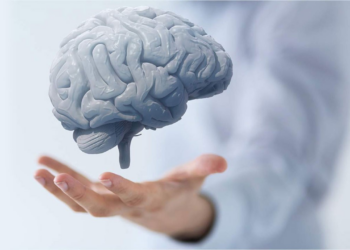 Günde Sadece 1 Avuç Yemek Yetiyor: Beyni Motor Gibi Çalıştırıyor