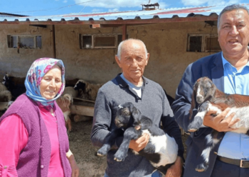 Hayvancılık Alarm Veriyor! Çiftçiler Bir Bir Besiciliği Bıraktı