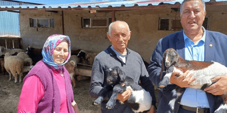 Hayvancılık Alarm Veriyor! Çiftçiler Bir Bir Besiciliği Bıraktı