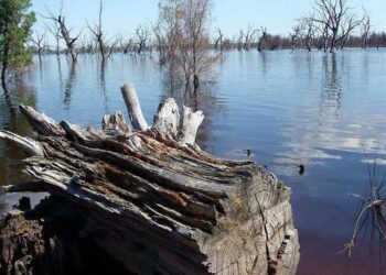 Kenya'da Kolera Salgın Alarmı! 6 Kişi Öldü