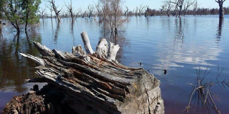 Kenya'da Kolera Salgın Alarmı! 6 Kişi Öldü