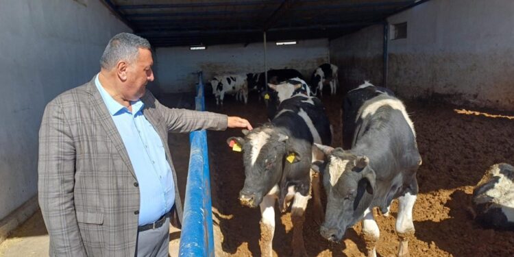 Kurban Bayramı Yaklaşırken 'Ne Vatandaş Mutlu Ne Üretici'