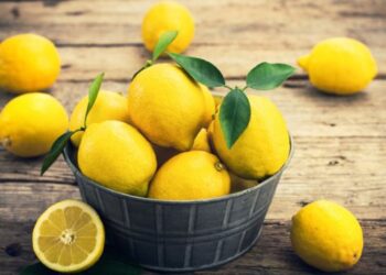 Limon ihracatı geçici olarak durduruldu