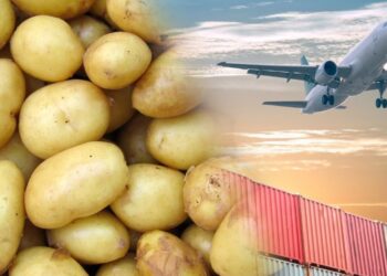 Mart ayında patates cep yaktı, uçak yolculuğu ucuzladı