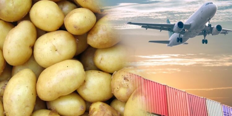 Mart ayında patates cep yaktı, uçak yolculuğu ucuzladı