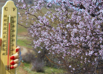 Meteoroloji Bölge Bölge Açıkladı: Sıcaklıklar Artıyor, Bahar Geri Geliyor