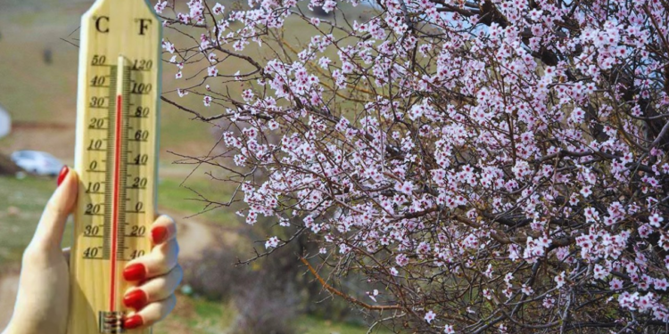 Meteoroloji Bölge Bölge Açıkladı: Sıcaklıklar Artıyor, Bahar Geri Geliyor
