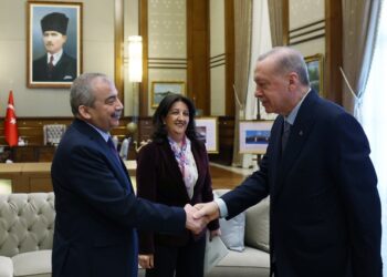 Pervin Buldan: Atılacak her adım, Öcalan'ın özgürlüğüne giden yoldur
