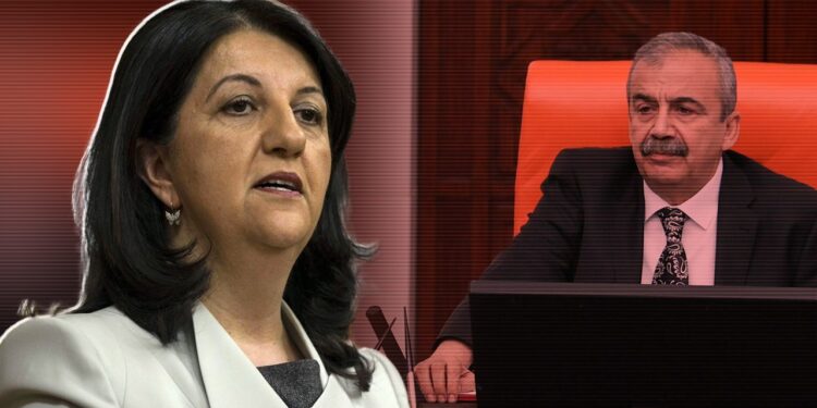 Pervin Buldan'dan Sırrı Süreyya Önder'e Duygusal Mesaj: 'Barış Güzel Yüreğine Merhem Olacak, Hadi Uyan Sırrı Başkanım'