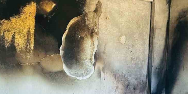 Siirt'te Yanan Ev Kullanılamaz Hale Geldi