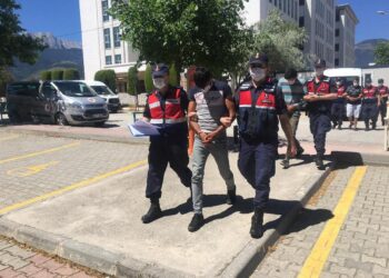 Suçluların dışarıda gezdiği Türkiye'de en "gözde" suç: Dolandırıcılık