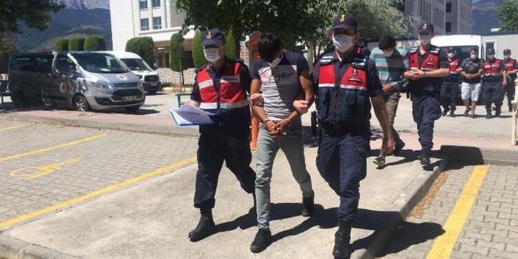 Suçluların dışarıda gezdiği Türkiye'de en "gözde" suç: Dolandırıcılık