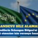 Suudiler Avrupa’ya vizesiz gidebilecek
