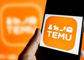 Temsilci atamadı: TEMU'ya erişim engeli yolda