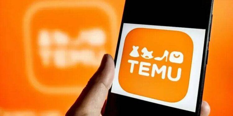 Temsilci atamadı: TEMU'ya erişim engeli yolda