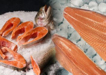 Türk somonu ihracatı yılın ilk çeyreğinde 84,4 milyon doları aştı