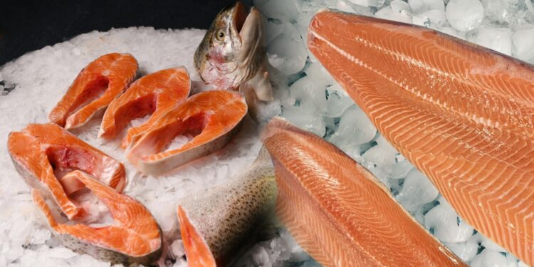 Türk somonu ihracatı yılın ilk çeyreğinde 84,4 milyon doları aştı