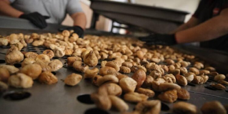 Türkiye'den Hırvatistan'a İhraç Edilen Kuru İncirlerde 'Zehir' Tespit Edildi