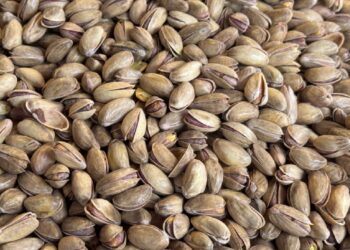 Türkiye'den yılın ilk çeyreğinde 59,7 milyon dolarlık fıstık ihraç edildi