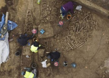 Viyana'da Futbol Sahasında Toplu Mezar Bulundu