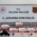 Yalova'da Jandarmadan Uyuşturucu Operasyonu