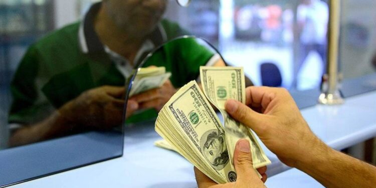 Yastık Altındaki Servet! Döviz Tevdiat Hesapları Arttı Ama...