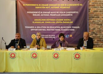 Yazar Dilaver Zeraq: Asimilasyona karşı kendi sistemimizi inşa etmeliyiz