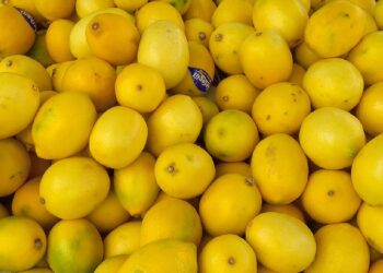 Yine Limon Yine Kimyasal Madde, Bu Kez Bulgaristan Sınırına Takıldı