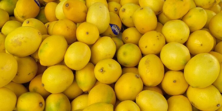 Yine Limon Yine Kimyasal Madde, Bu Kez Bulgaristan Sınırına Takıldı