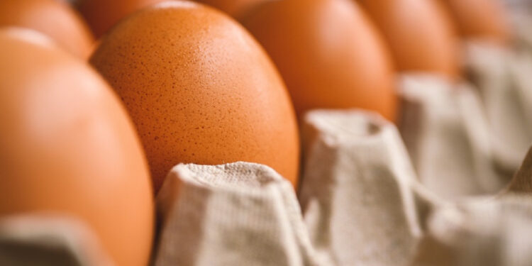 Yumurta fiyatlarındaki artış devam ediyor; 4 ayda yüzde 100 zamlandı