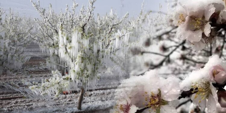 'Zirai Don' Komisyonu Kararı Resmi Gazete'de! Tüm Yönleriyle Araştırılacak