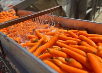 Zirai dona karşı soğuk hava tesisi ile önlem