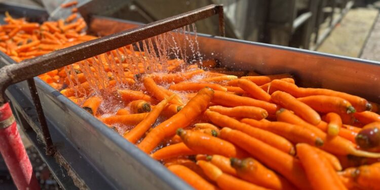 Zirai dona karşı soğuk hava tesisi ile önlem