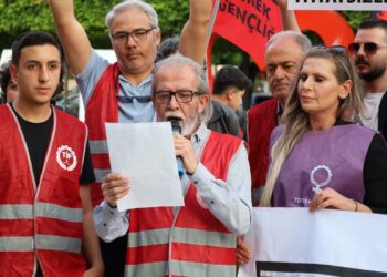 ‘Sokak hayvanlarının katledilmesini öngören yasa iptal edilsin’