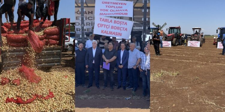 Amik Ovası çiftçileri isyan etti