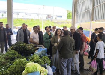 Kaytan ve Altun için Amed’de yapılacak anmaya çağrı