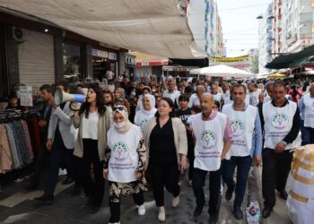 Amed’de Kaytan ve Altun anmasına çağrı