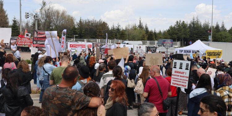 Hayvan hakları için AYM önünde eylem