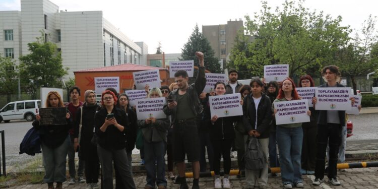 Üniversitelerde hayvan hakları topluluklarının kapatılmasına tepki