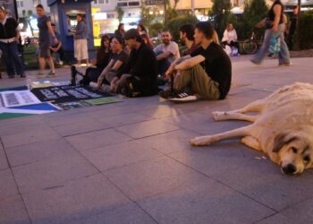 Hayvanseverler açlık grevinin 2’nci gününde