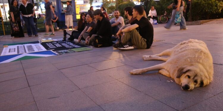 Hayvanseverler açlık grevinin 2’nci gününde