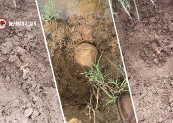 Licê’de insana ait olduğu düşünülen kemikler bulundu