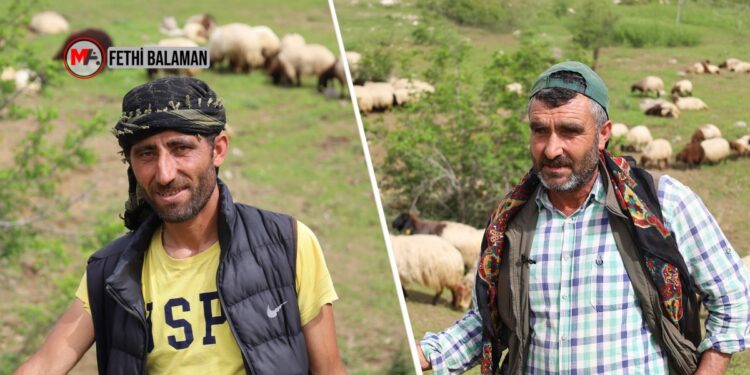 Koçerlerin zorlu yolculuğu başladı