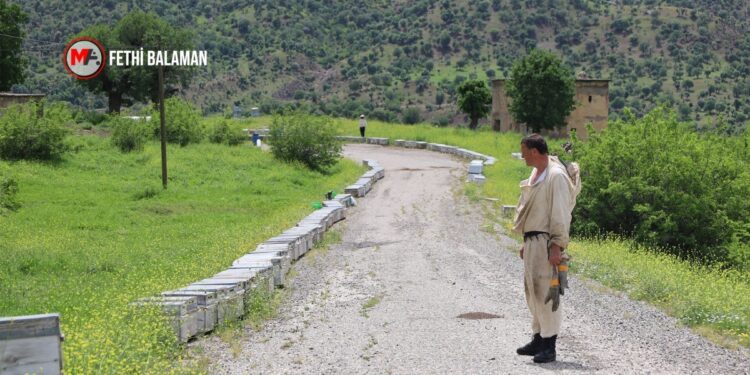 Yumurtlama dönemiyle arıcıların yaylalara göçü başladı