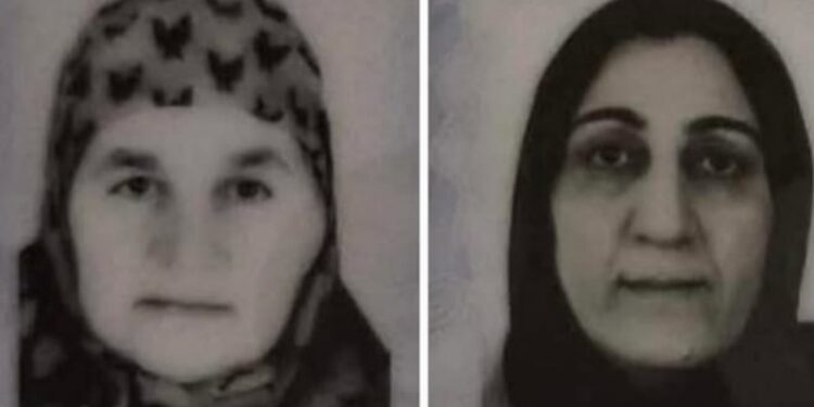 2 kadının katili Çakmakçı sınırda yakalandı
