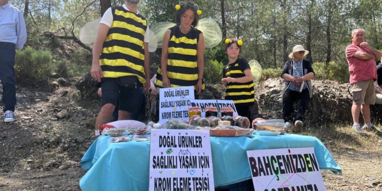 Muğla’da krom ocağı için keşif yapıldı